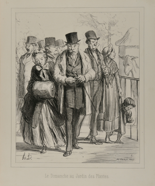 SUNDAY IN THE BOTANICAL GARDENS