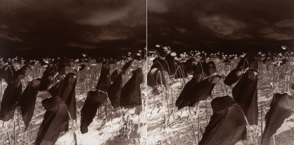 BEHIND MY EYES, SECOND MOVEMENT, PLATE II