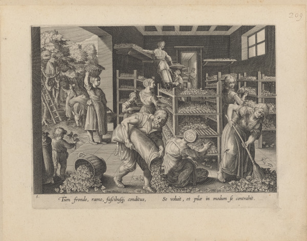 THE GATHERING OF MULBERRY LEAVES AND THE FEEDING OF THE SILKWORMS