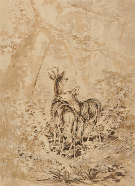 Two Deer in Woods