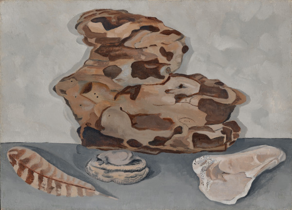 SHELL, STONE, AND FEATHER WITH BARK