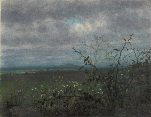 LANDSCAPE SCENE