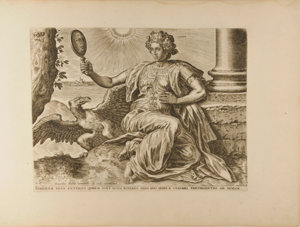 Sensorium Visus Exterius Quidem Sunt Oculi, Interius Vero Duo Nervi a Cerebro Pertingentes ad Oculos