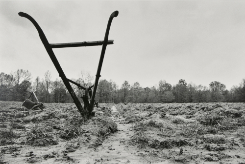 Horse-drawn Cultivator, Mississippi