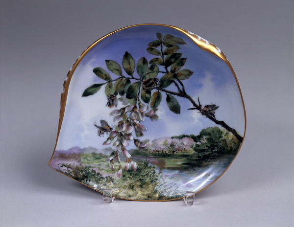 Pieces from the Hayes Presidential Service