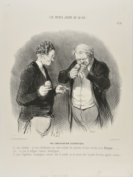 A SCIENTIFIC CONSULTATION. - I AM SATISFIED.... I THINK THE POTATO DISEASE COMES FROM BOTRYTIS... - YES, THAT'S WHAT'S COMMONLY KNOWN AS A MUSHROOM (FUNGUS). - IF WE CALL IT A MUSHROOM LIKE THE REST OF THE WORLD, NO ONE WILL BOTHER CALLING US SCIENTISTS!