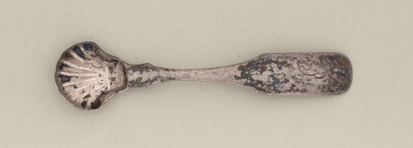 Salt Spoon