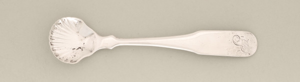 Salt Spoon