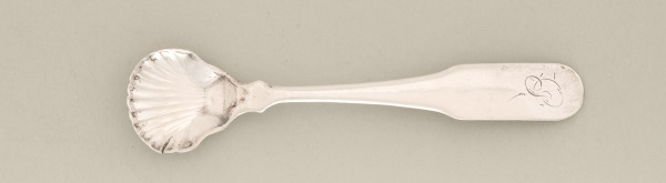 Salt Spoon