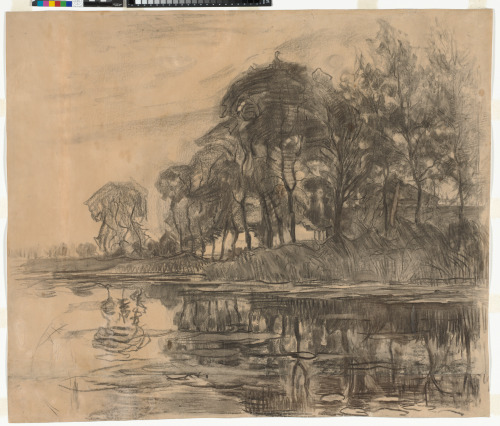 TREES AT THE EDGE OF A RIVER