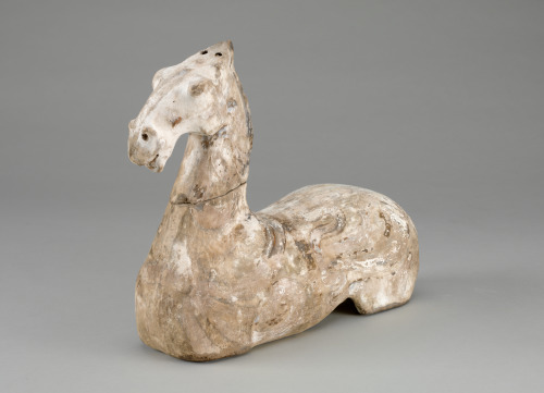 Head and Torso of a Horse