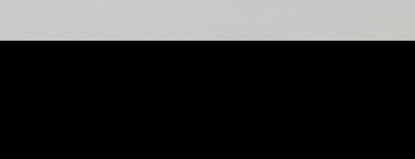 Hair Pin Decorated with Wisteria and Irises