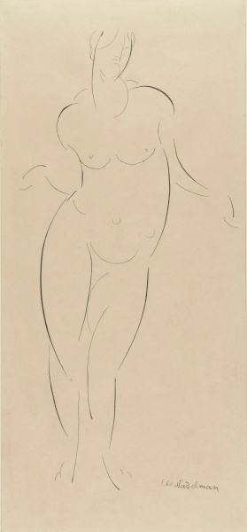 Standing Female Nude