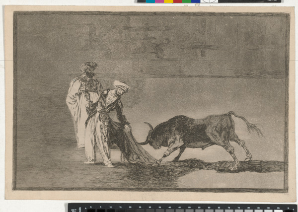 LOS MOROS HACEN OTRO CAPEO EN PLAZA CON SU ALBOREZ (THE MOORS MAKE A DIFFERENT PLAY IN THE RING CALLING THE BULL WITH THEIR BURNOUS)