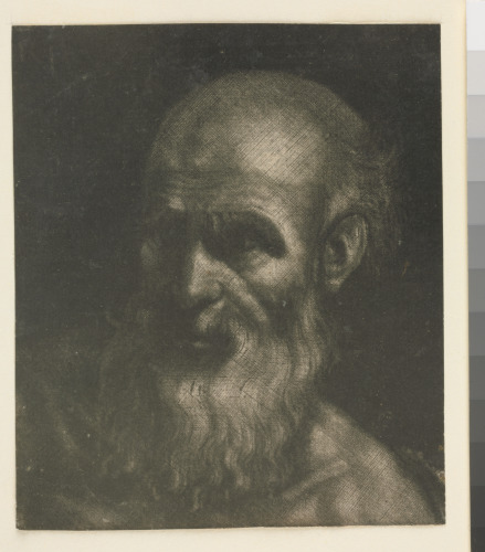 HEAD OF AN OLD MAN