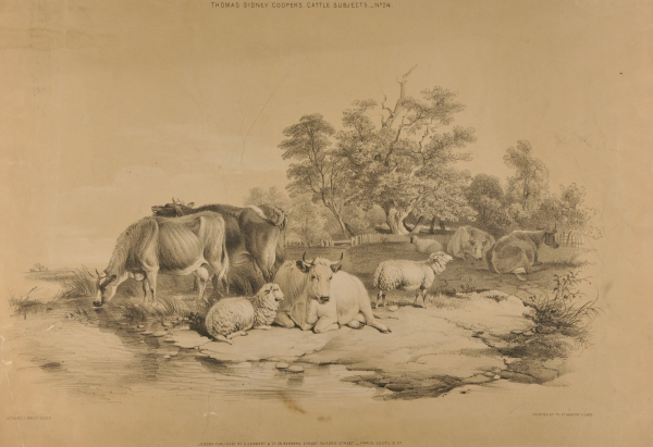 Thomas Sidney Cooper’s Cattle Subjects – No. 24