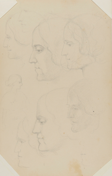 Female Profile Head Studies