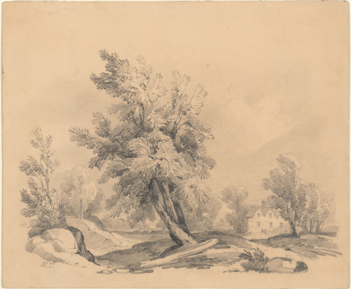 The Old House by the Wayside