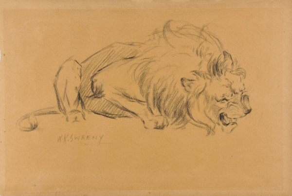 Snarling Lion (recto); Head of a Lioness (verso)