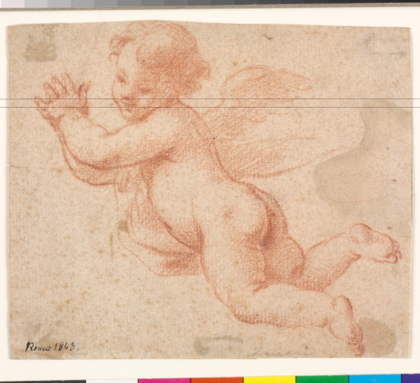 Flying Putto with Clasped Hands