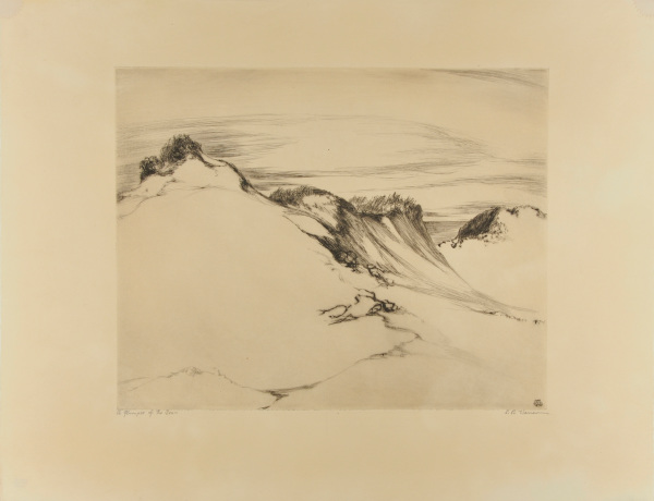 A Glimpse of the Sea