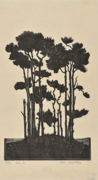 A Clump of Pine Trees