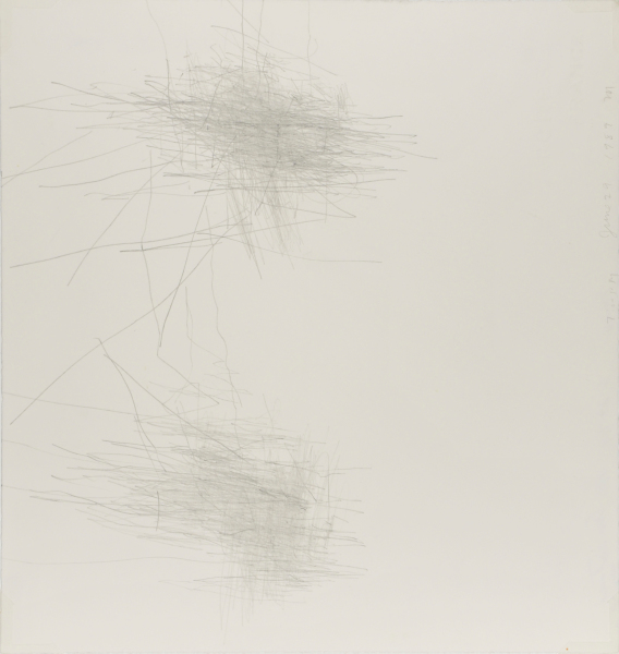 Blind Drawing (6.29.89)