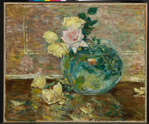 Roses in a Vase