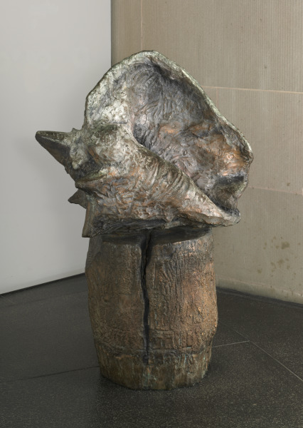 The Shell and the Log