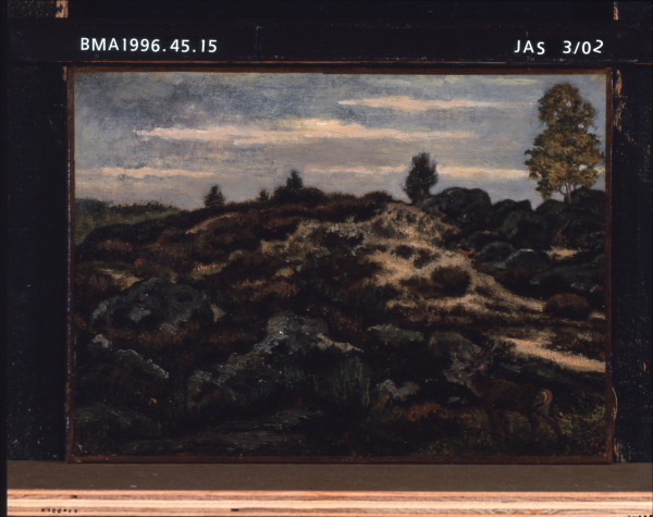 DEER IN THE FOREST OF FONTAINEBLEAU