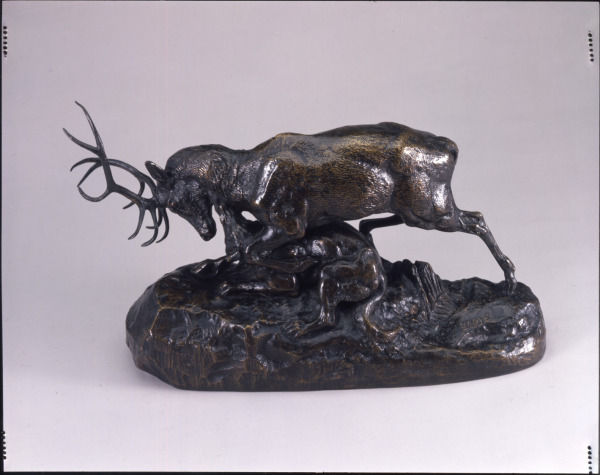 WOLF SEIZING A STAG BY THE THROAT