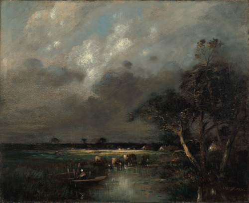 Trees on the Water's Edge