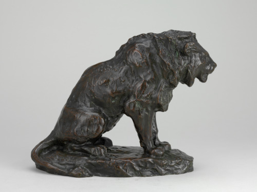 SEATED LION (SKETCH)