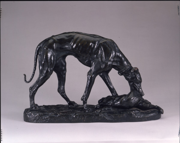 GREYHOUND RETRIEVING A HARE