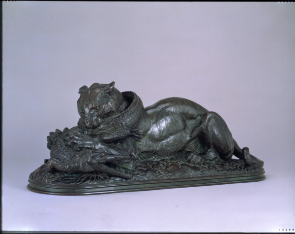 TIGER DEVOURING A GAVIAL (FIRST REDUCTION)