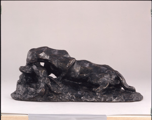 JAGUAR DEVOURING A HARE