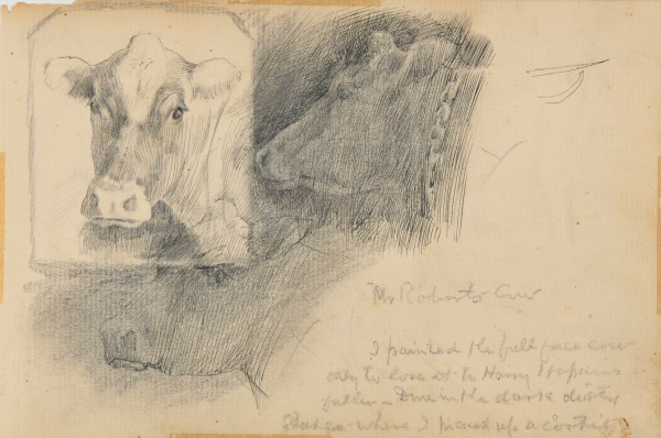 SKETCH FROM A CAMPING TRIP ON THE LOWER SUSQUEHANNA IN 1887 (3 STUDIES OF COW'S HEAD). INSCRIBED: 'MR. ROBERTS COW/I PAINTED THE FULL FACE COW/ONLY TO LOSE IT TO HARRY HOPKINS..'