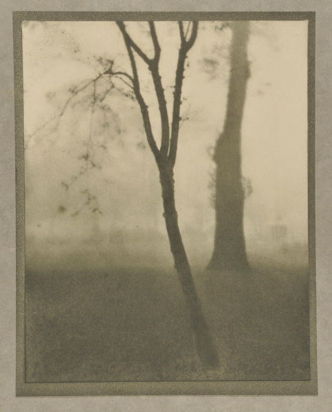 Kensington Gardens, November