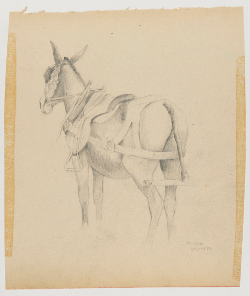 SKETCH FROM A CAMPING TRIP ON THE LOWER SUSQUEHANNA IN 1887? (STUDY OF A MULE, IN HARNESS AND SADDLE). INSCRIBED: 'HAILORD/JULY 10 88.'