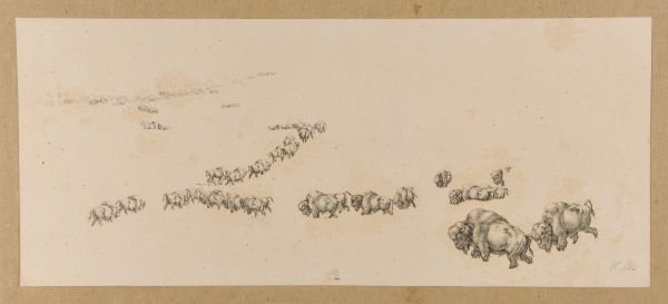 HERD OF BISONS ON THE UPPER MISSOURI