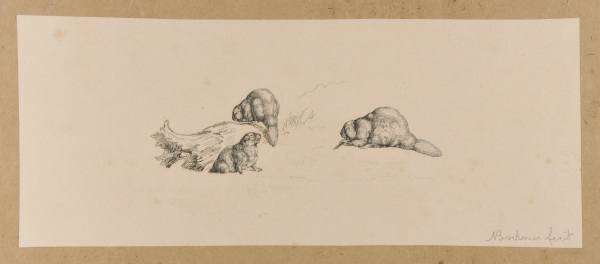 BEAVER HUT ON THE MISSOURI