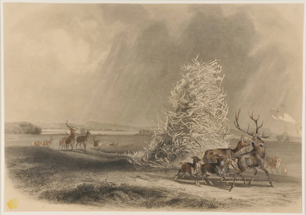 THE ELKHORN PYRAMID ON THE UPPER MISSOURI