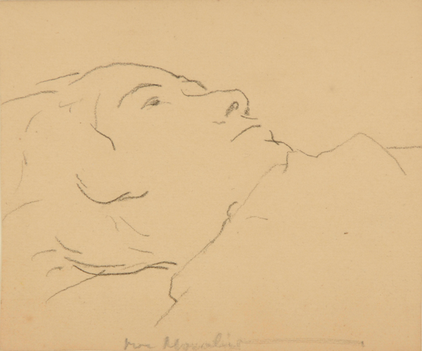 Jeune femme en buste, couchee au sol, tournee a droite