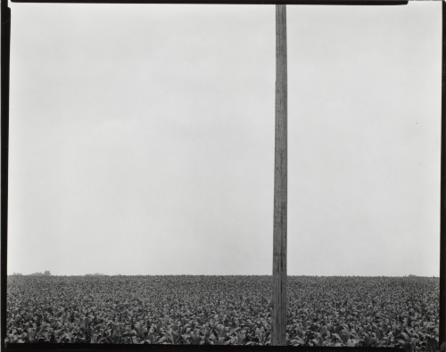 Outskirts of Chicago