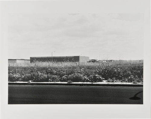 VON KARMAN ROAD, BETWEEN ALTON AND MCGAW ROADS, LOOKING EAST