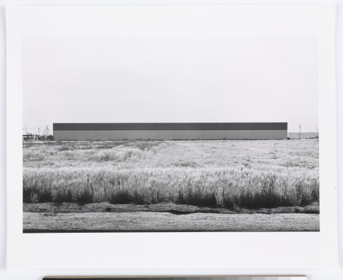 EAST WALL, WESTERN CARPET MILLS, 1231 WARNER, TUSTIN