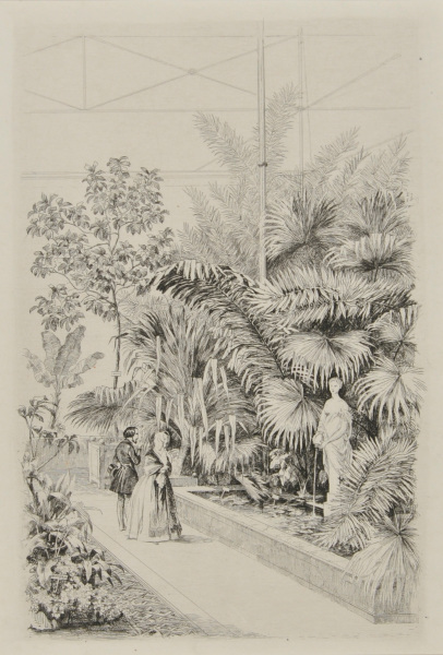 INTERIOR OF THE LARGE HOTHOUSE AT THE BOTANICAL GARDEN