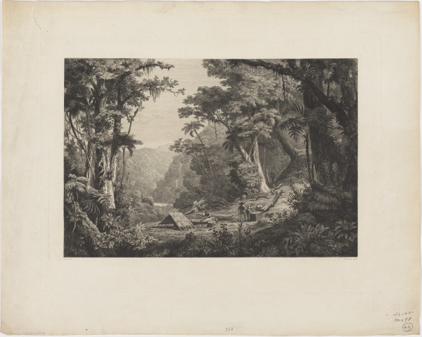 VALLÉE DE SAN JUAN DEL ORO