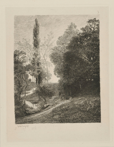 THE BANKS OF THE COUSIN