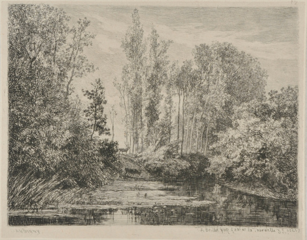 Stags at the Water’s Edge